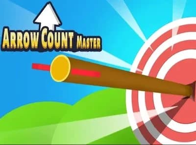 Arrow Count Master